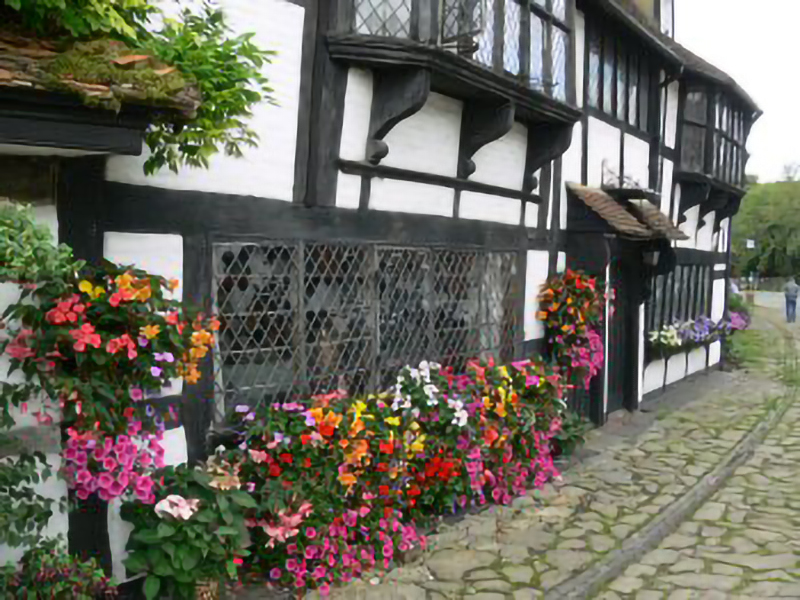Weavers Cottages Flowers