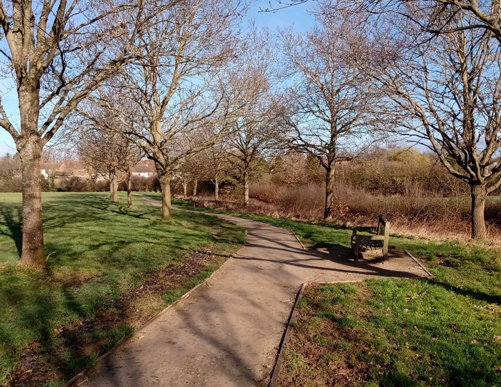 Avenue Path