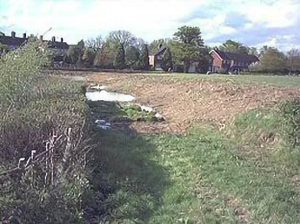 Hedge Laying
