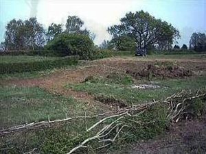 Hedge Laying