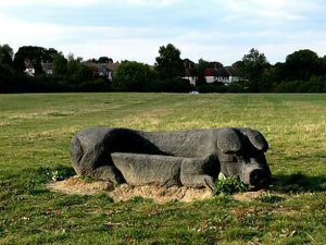 Pig Seat