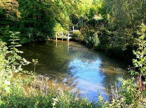 Centre Pond platform