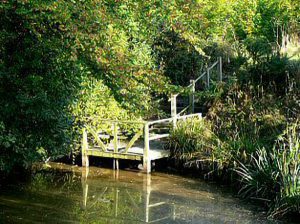 Centre Pond platform