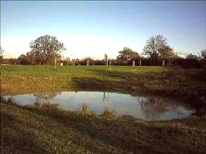 Top pond
