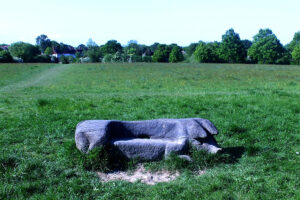 Millenium field May 2025
